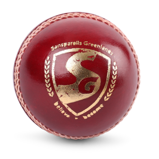 SG Seamer Cricket Leather Ball