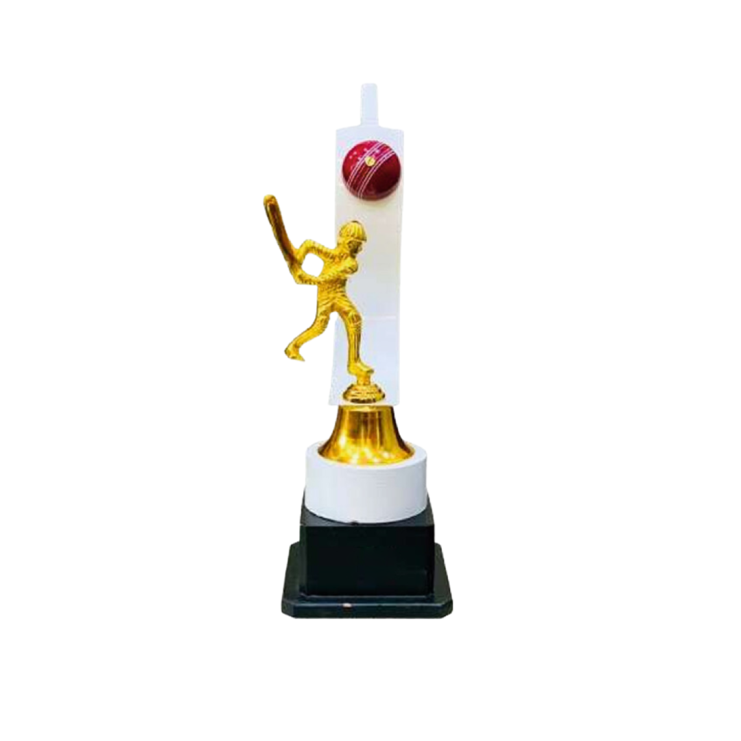 Metallic Cricket Winning Trophy Award for Winners (16 Inches) Metal Trophy M-4784