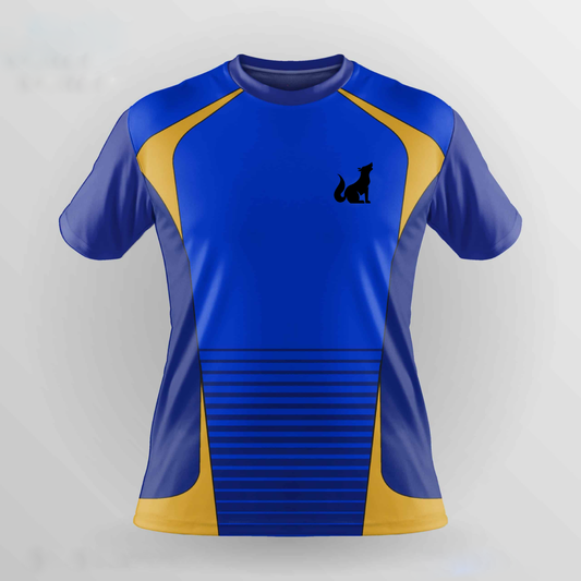 Football Jersey Blue Yellow