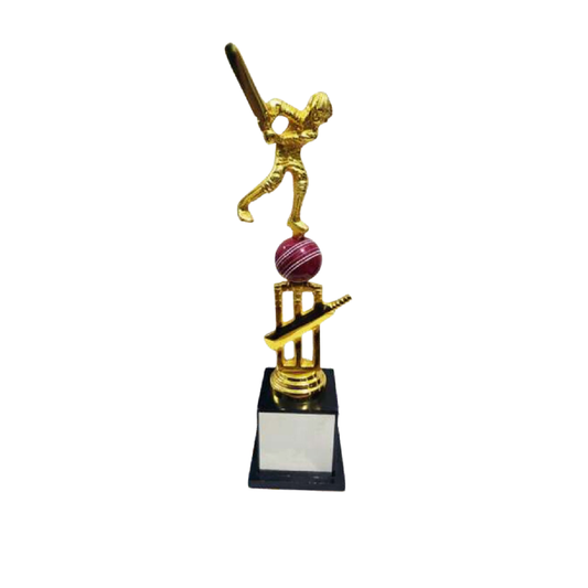 Metal Trophy M-4803 - GW Sports App