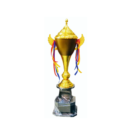 Metal Trophy M-1565 - GW Sports App