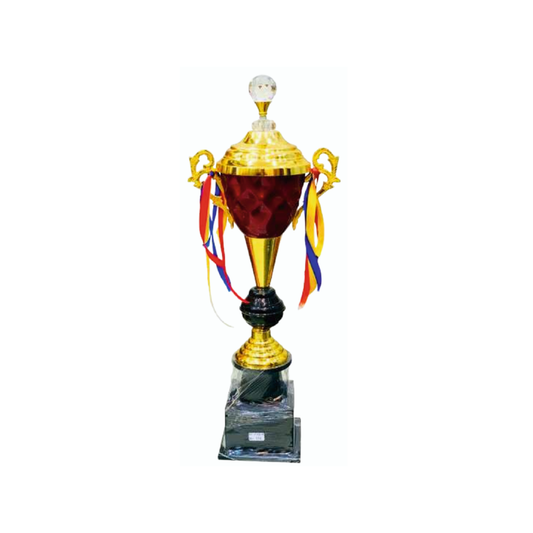 Metal Trophy M-1568 - GW Sports App